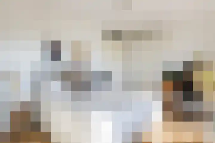 Kallameer 110 Woerden thumbnail 17