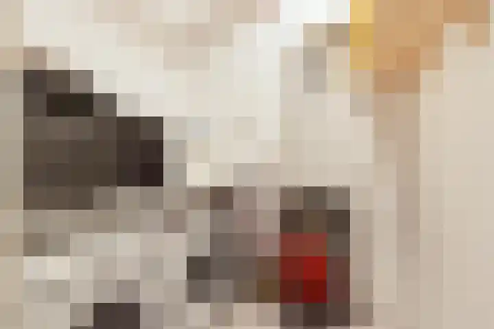Kallameer 110 Woerden thumbnail 19