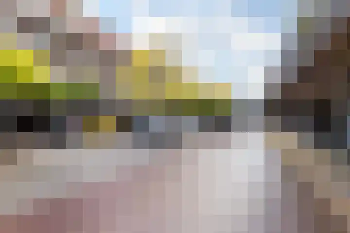 Kallameer 110 Woerden thumbnail 22