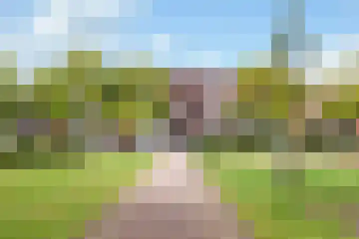 Kallameer 110 Woerden thumbnail 24