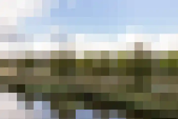 Kallameer 110 Woerden thumbnail 9