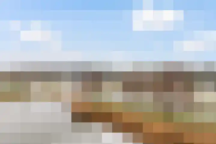 Kallameer 142 Woerden thumbnail 8
