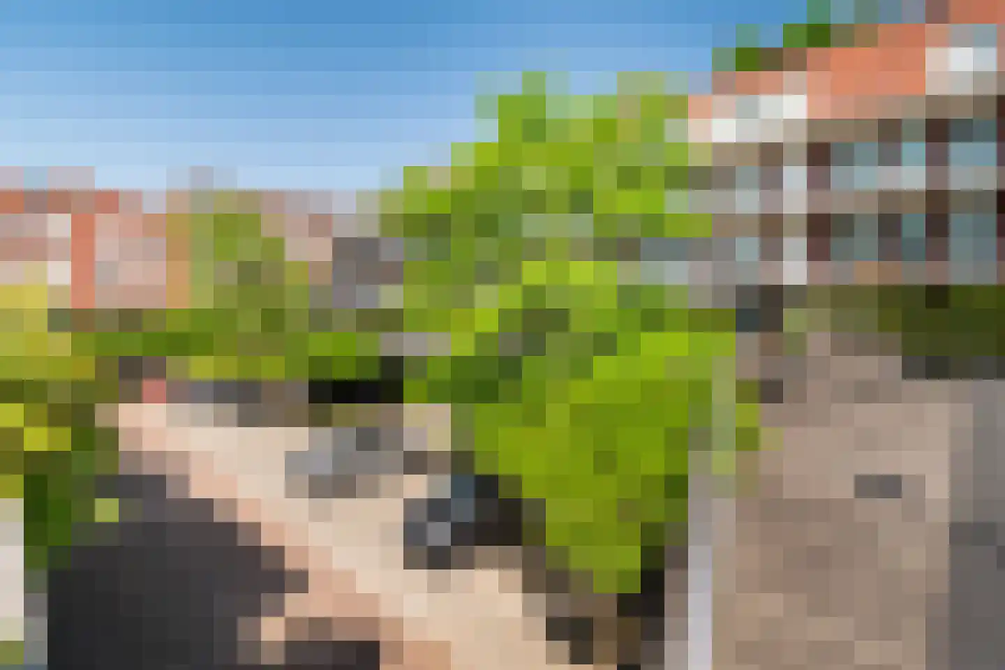 Kallameer 144 Woerden thumbnail 18