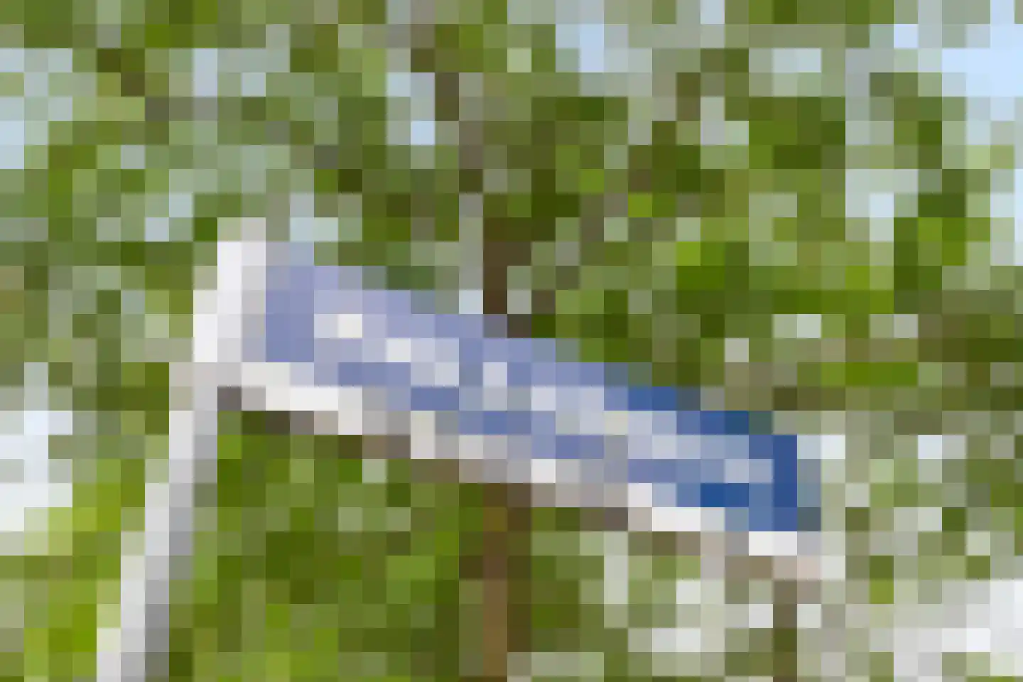 Kallameer 162 Woerden thumbnail 34