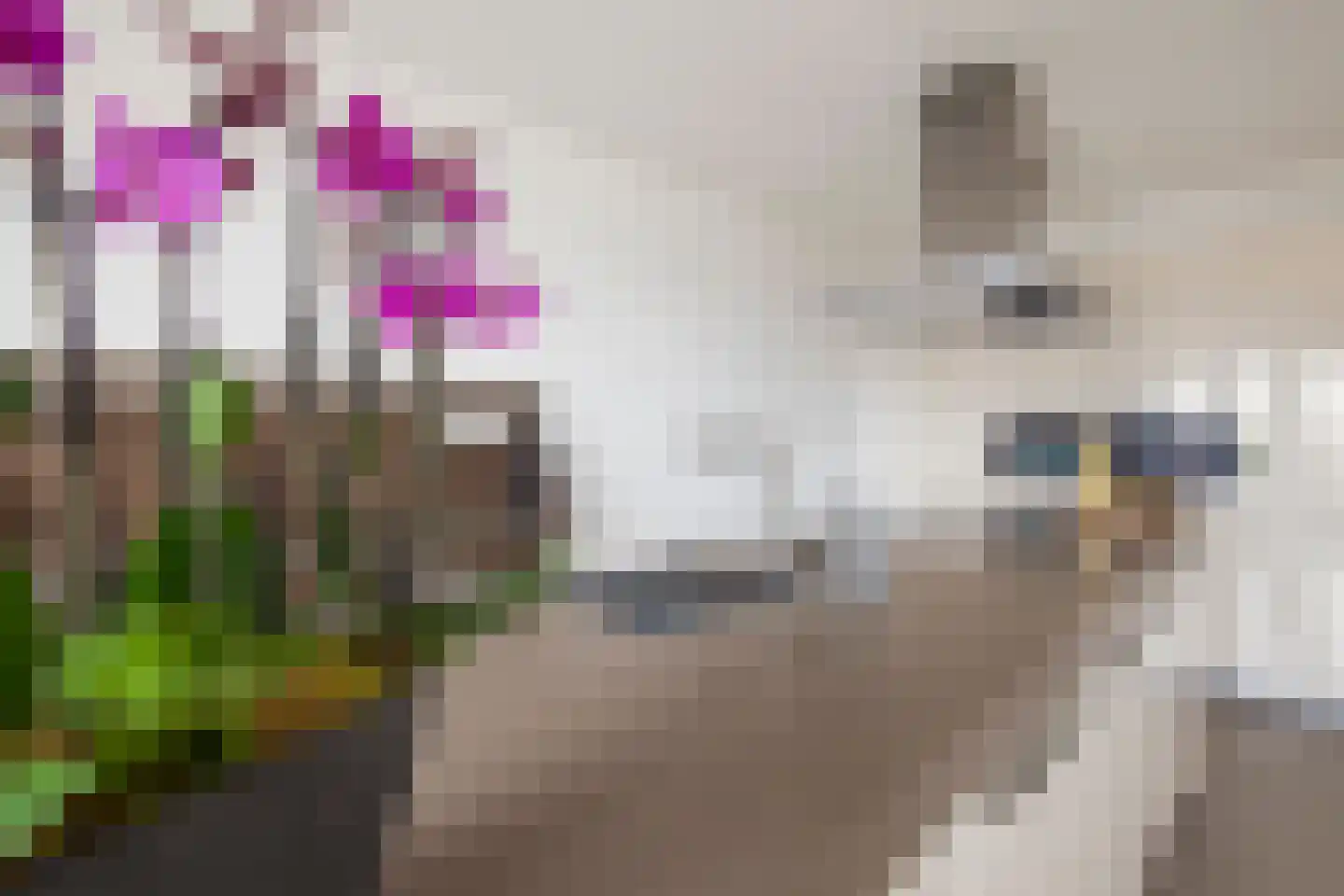 Kallameer 172 Woerden thumbnail 16
