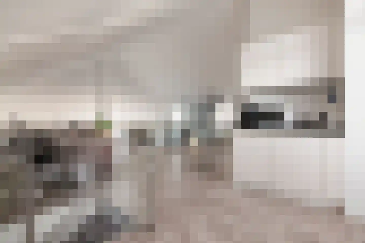 Kallameer 172 Woerden thumbnail 32