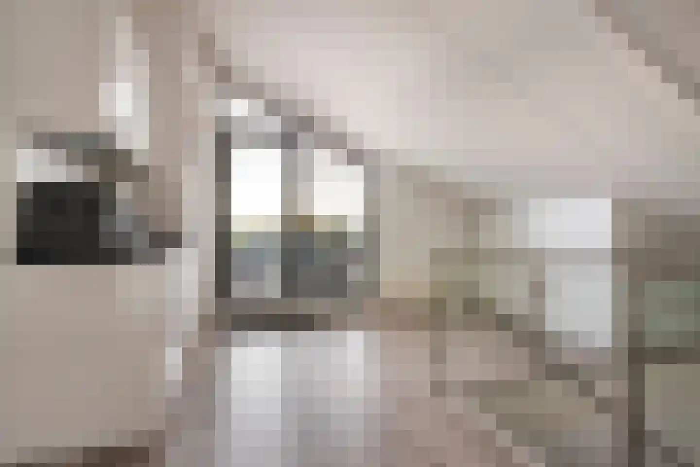 Kallameer 172 Woerden thumbnail 33