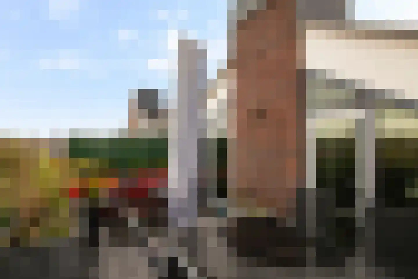 Kallameer 172 Woerden thumbnail 44