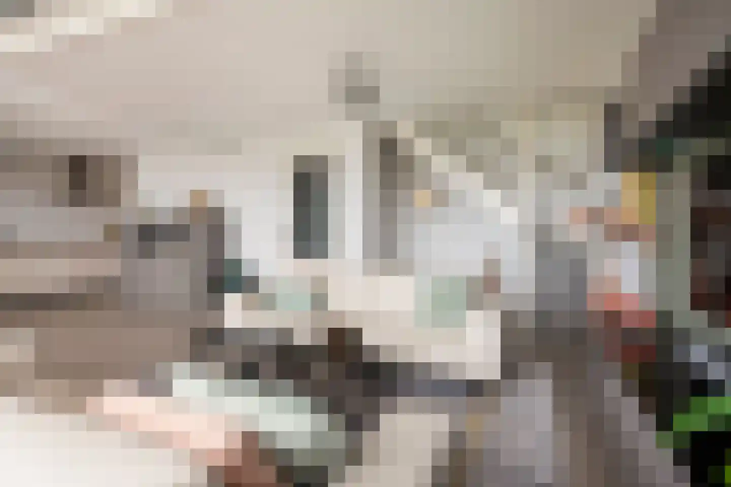 Kallameer 172 Woerden thumbnail 8