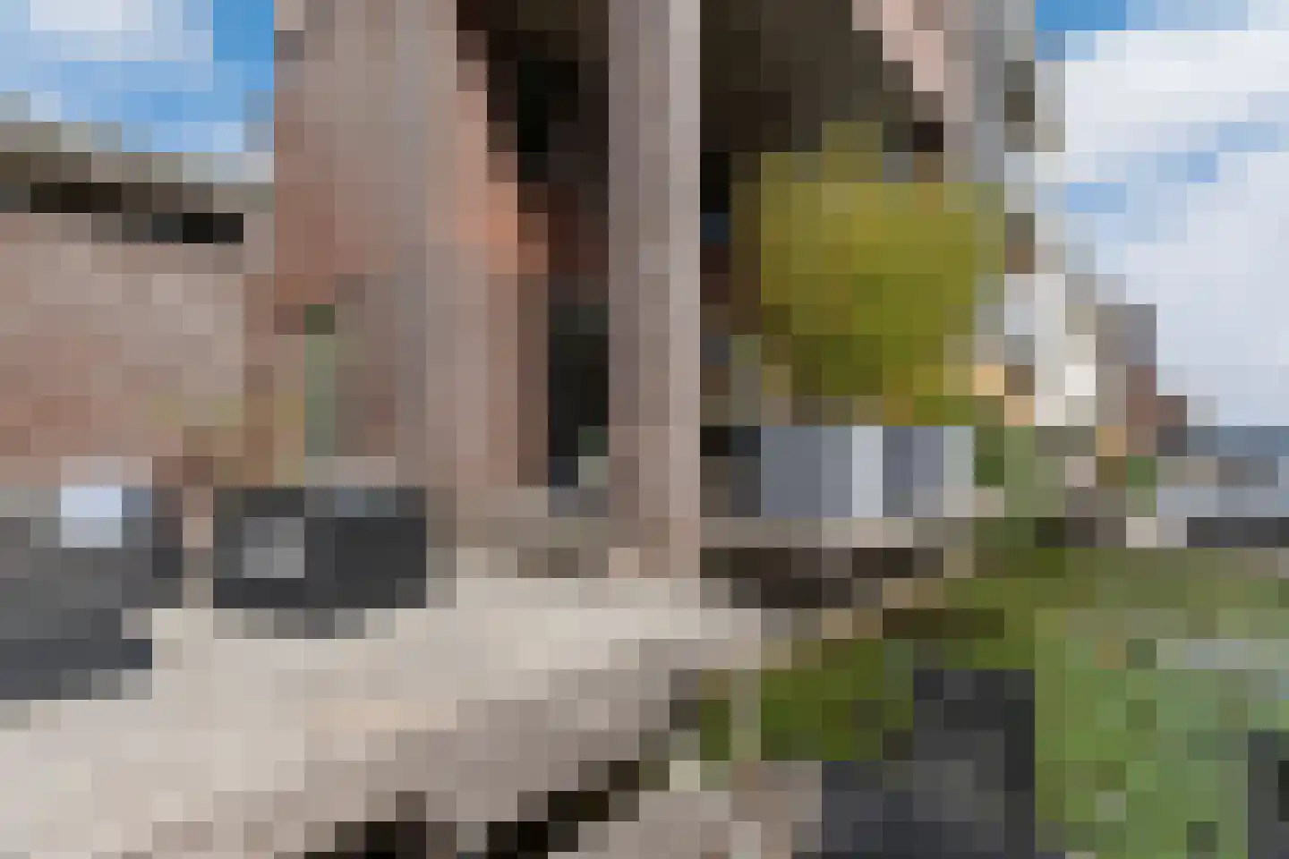 Kallameer 204 Woerden thumbnail 14