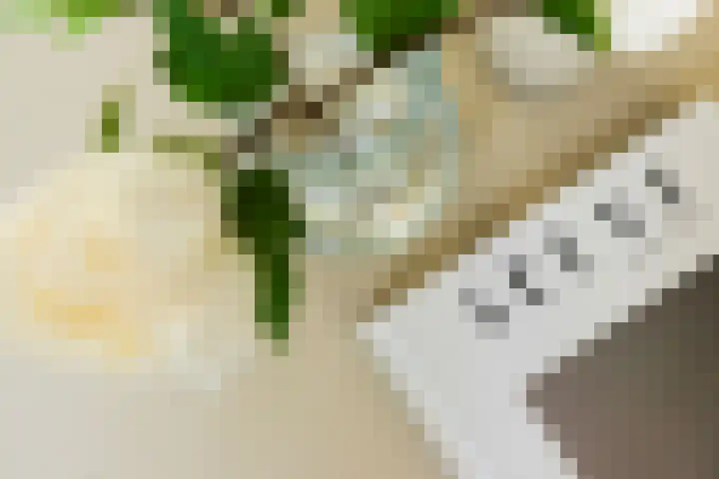 Kallameer 204 Woerden thumbnail 17