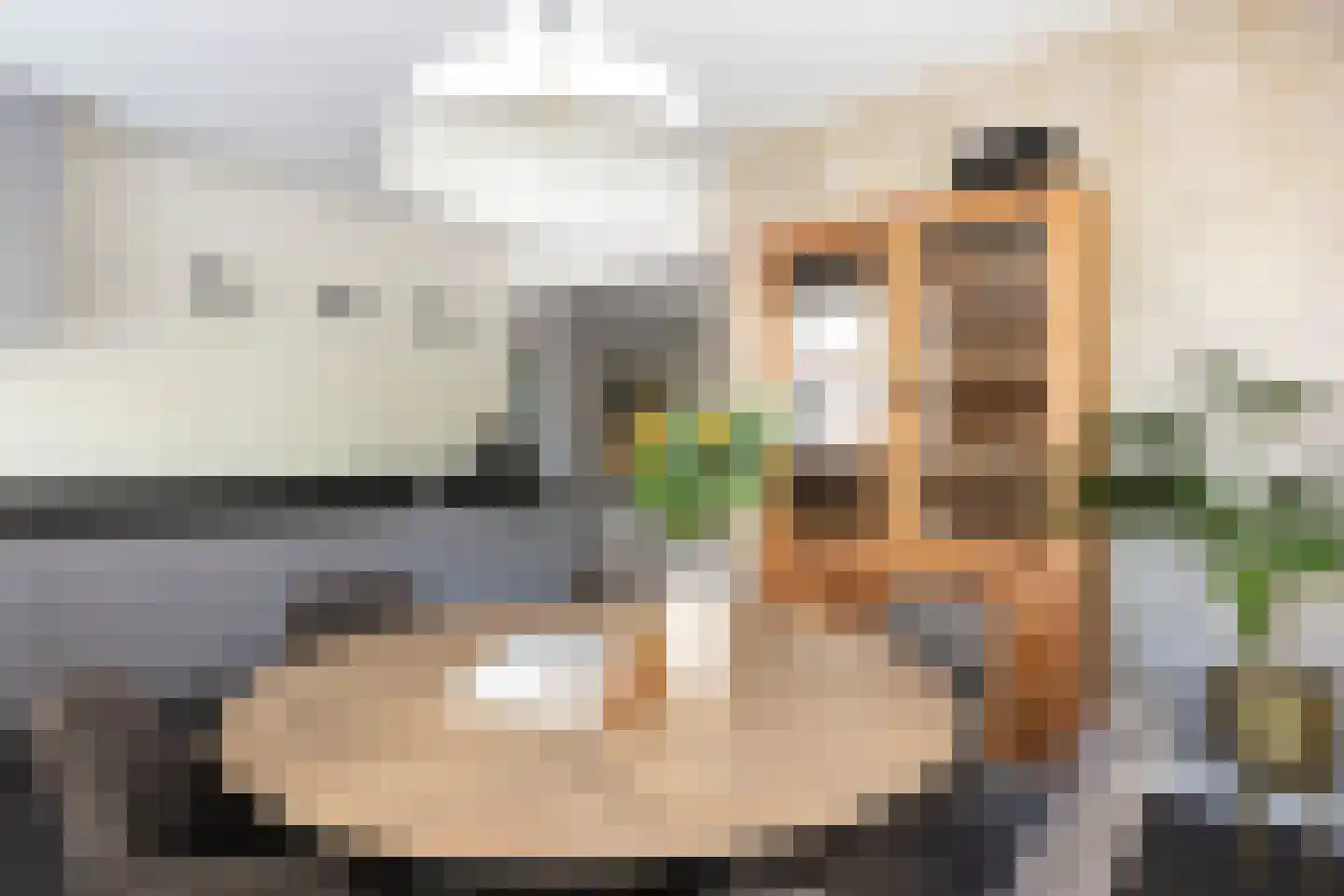 Kallameer 204 Woerden thumbnail 4