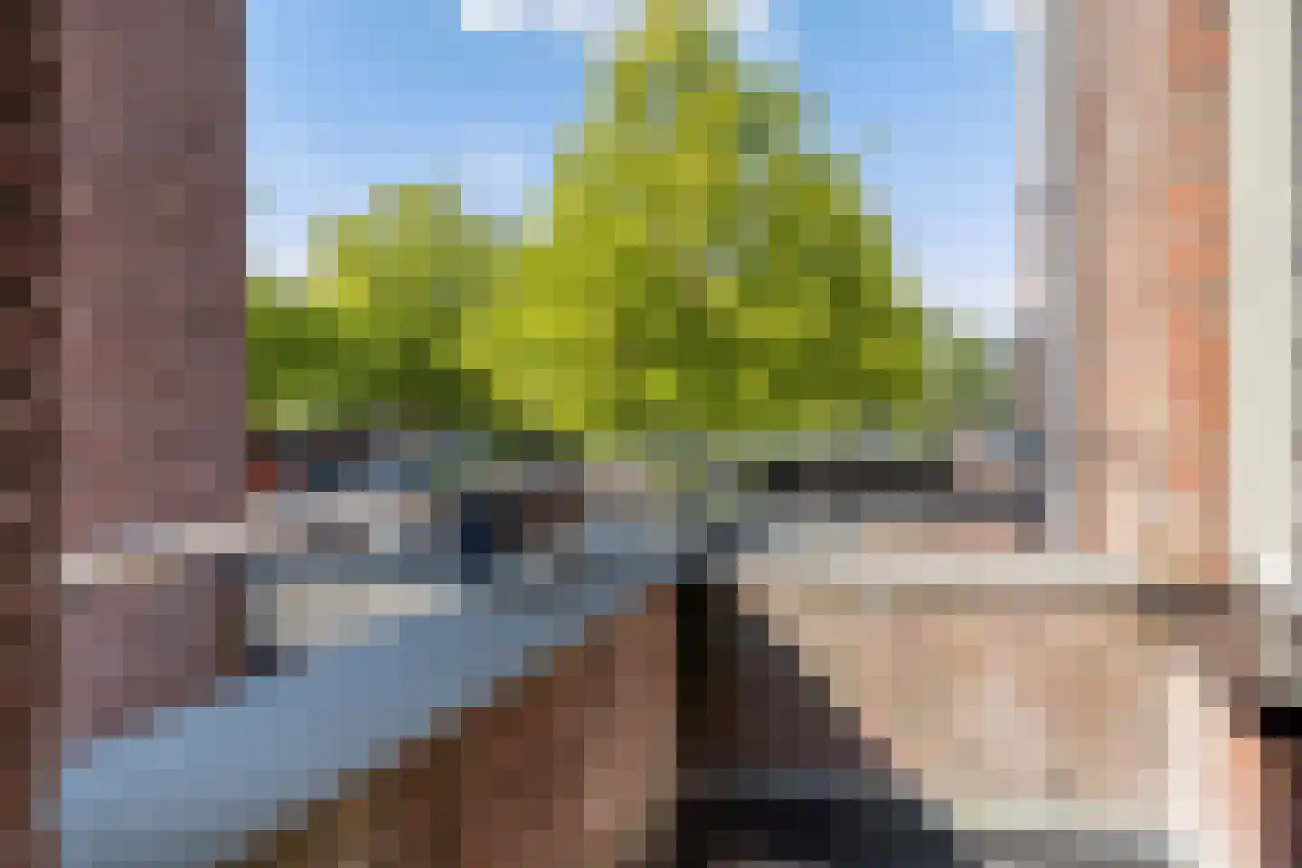 Kallameer 204 Woerden thumbnail 42