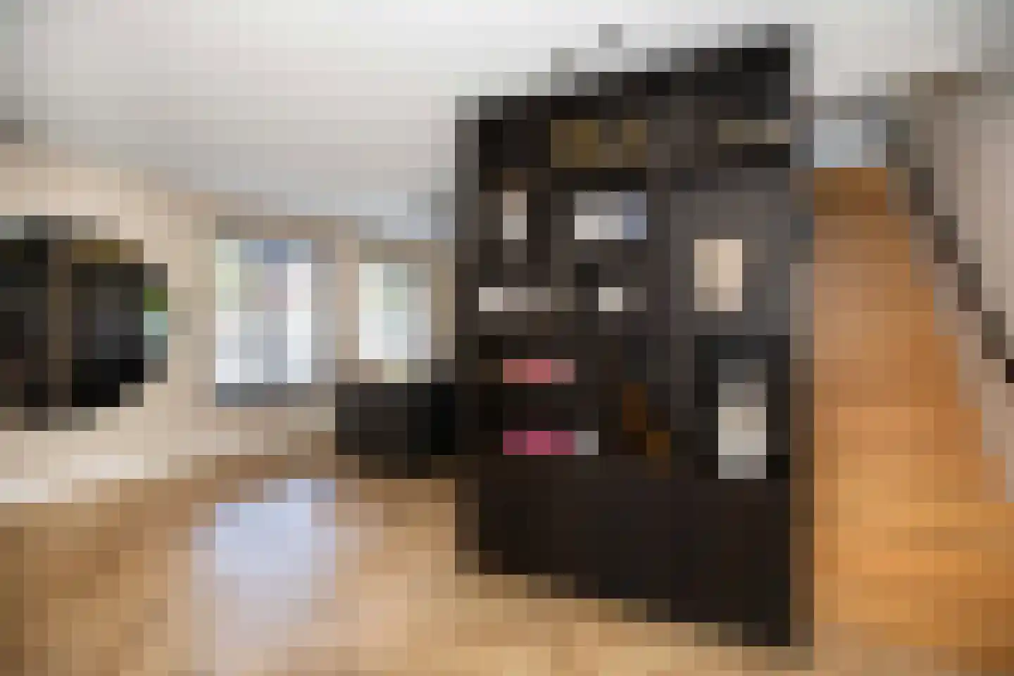 Kallameer 218 Woerden thumbnail 18