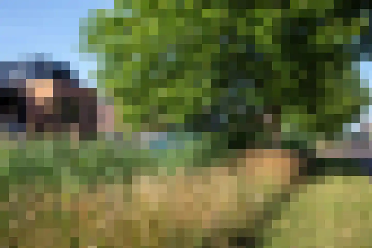 Kallameer 218 Woerden thumbnail 70