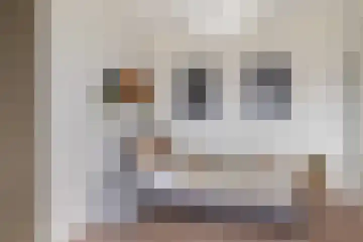 Kallameer 34 Woerden thumbnail 32