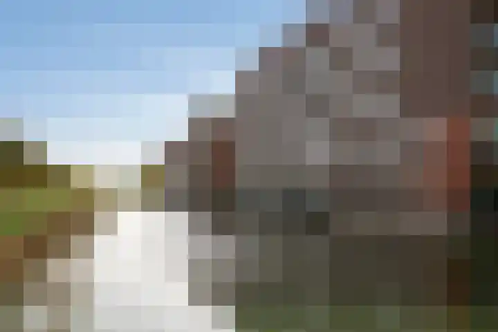 Kallameer 74 Woerden