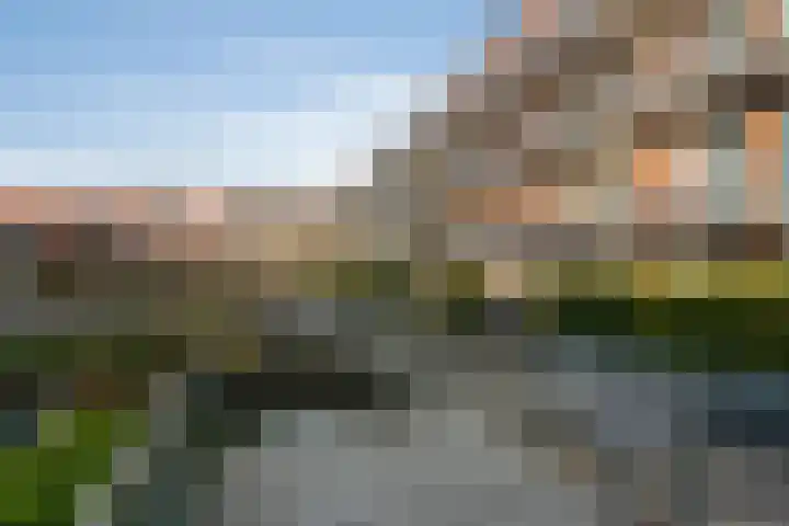 Kallameer 74 Woerden thumbnail 6