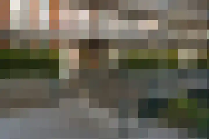 Kallameer 74 Woerden thumbnail 7