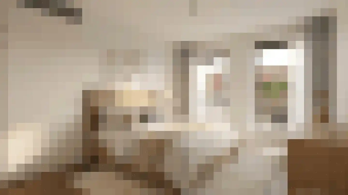 Kallameer 80 Woerden thumbnail 19