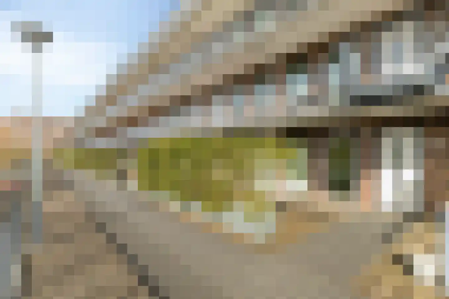 Kallameer 80 Woerden thumbnail 6