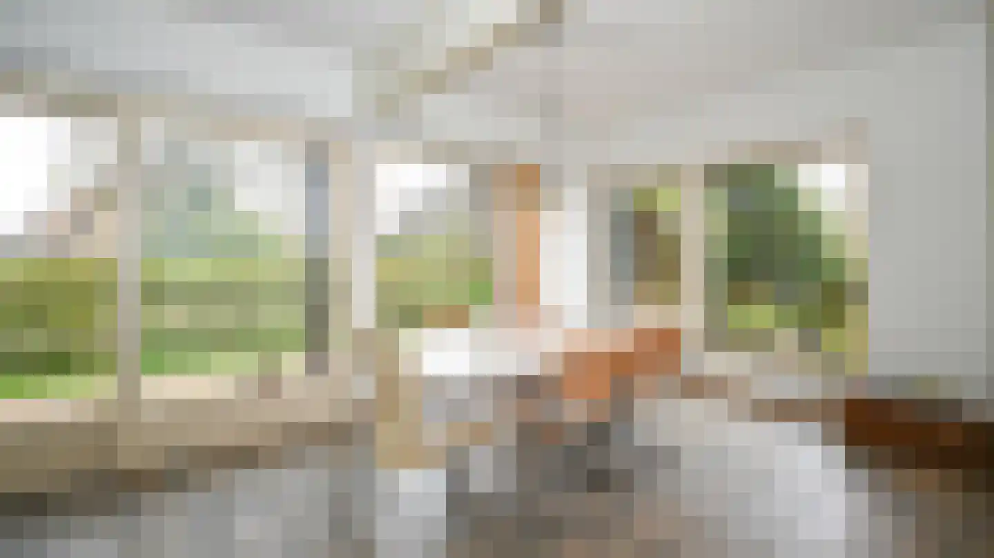 Kallandspad 30 Midsland thumbnail 9