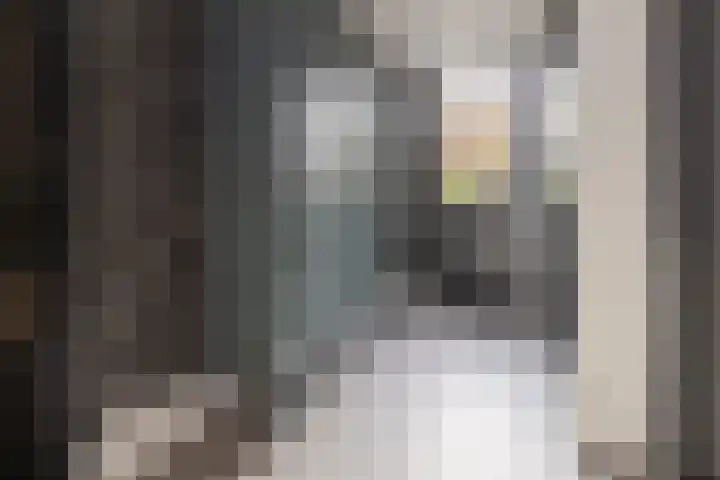 Kallenbroekerweg 3 Barneveld thumbnail 22