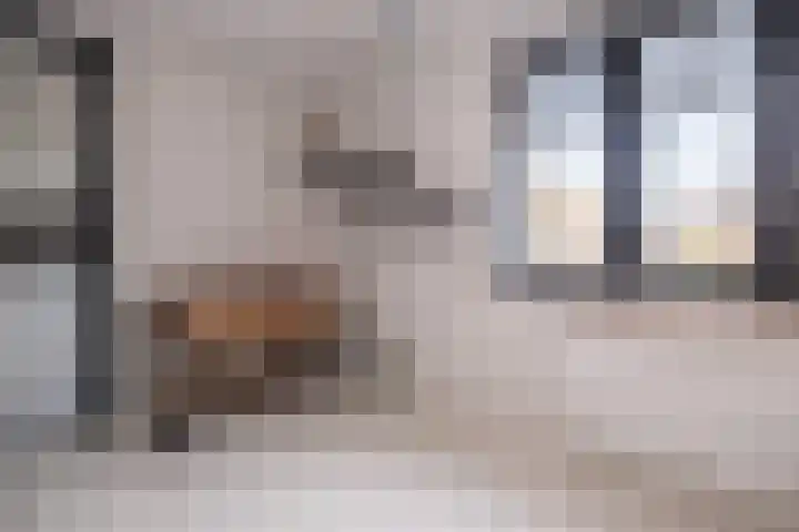 Kallenbroekerweg 3 Barneveld thumbnail 32