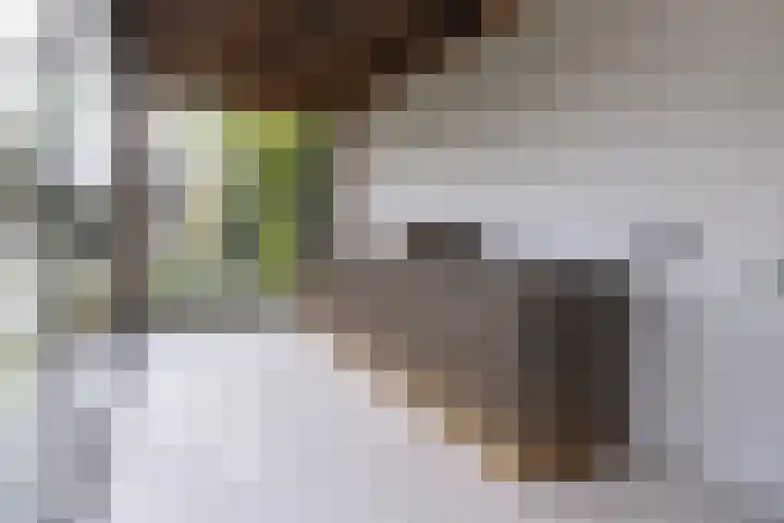 Kallenbroekerweg 3 Barneveld thumbnail 47
