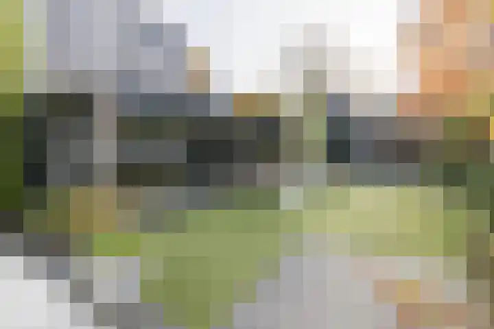Kallenbroekerweg 3 Barneveld thumbnail 50