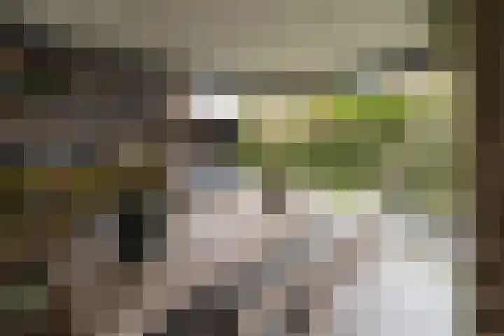 Kallenbroekerweg 3 Barneveld thumbnail 51
