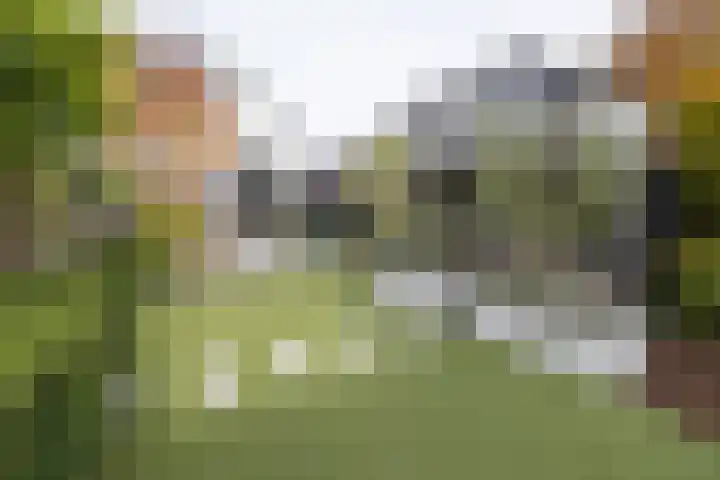 Kallenbroekerweg 3 Barneveld thumbnail 52