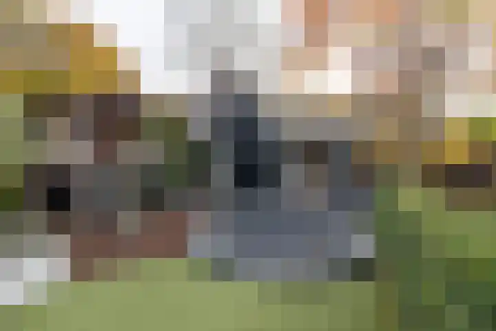 Kallenbroekerweg 3 Barneveld thumbnail 53