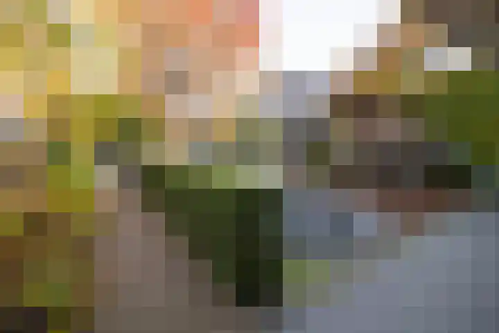 Kallenbroekerweg 3 Barneveld thumbnail 62