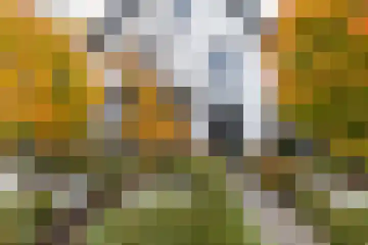 Kallenbroekerweg 3 Barneveld thumbnail 63