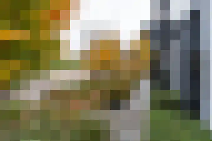 Kallenbroekerweg 3 Barneveld thumbnail 64