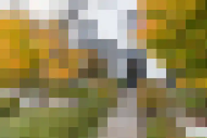 Kallenbroekerweg 3 Barneveld thumbnail 66