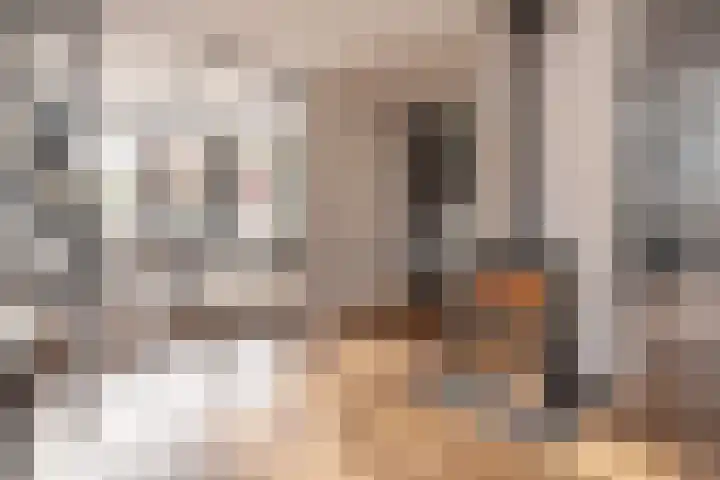 Kallenbroekerweg 3 Barneveld thumbnail 7