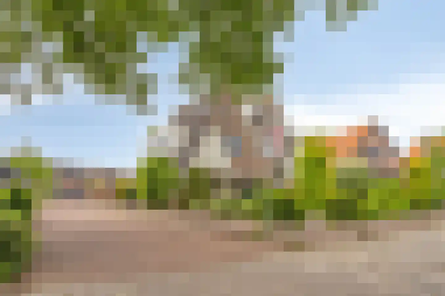 Kallenbroekerweg 81 Barneveld thumbnail 37