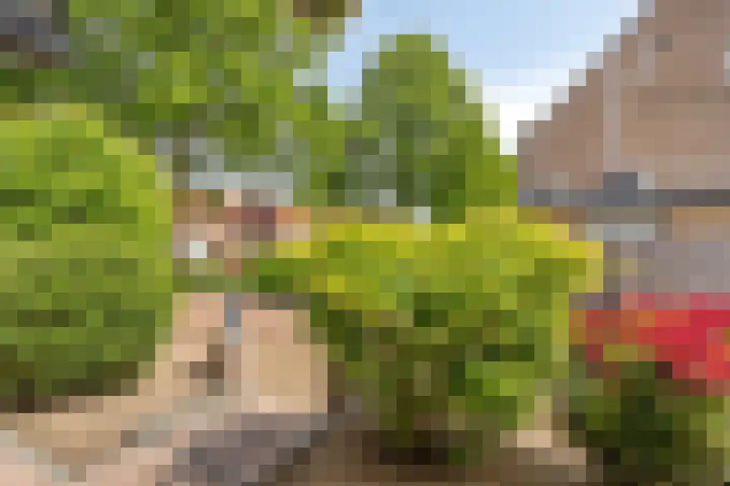 Kallenbroekerweg 81 Barneveld thumbnail 4