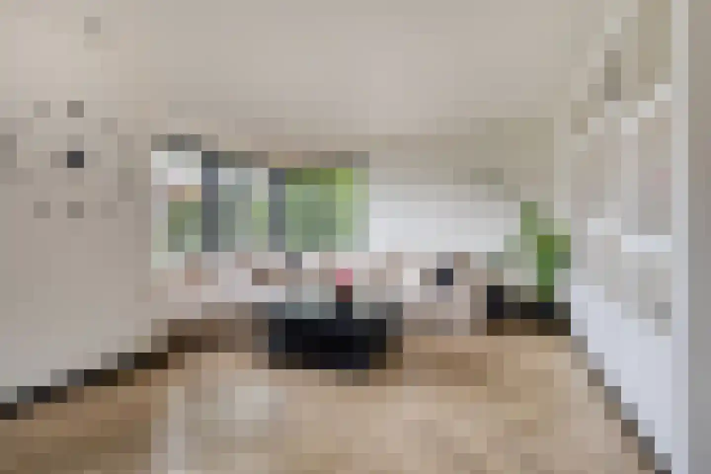 Kallenbroekerweg 81 Barneveld thumbnail 7