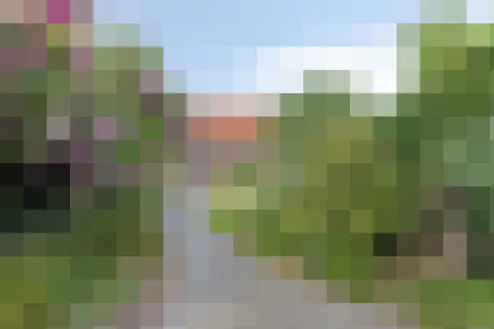Kallenbroekerweg 82 Barneveld thumbnail 30