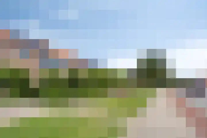 Kallenbroekerweg 82 Barneveld thumbnail 35