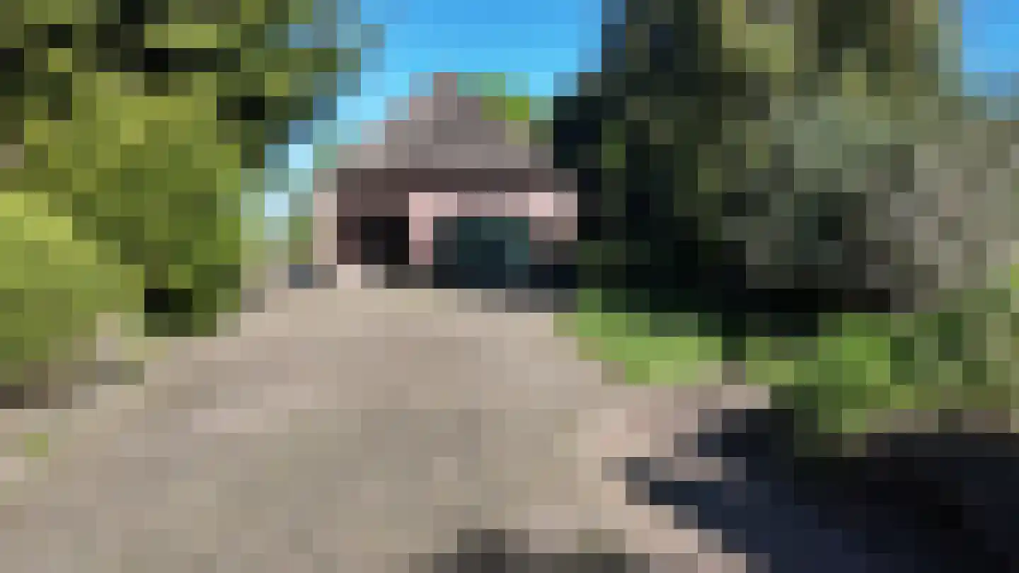 Kallenkote 17 Kallenkote thumbnail 31