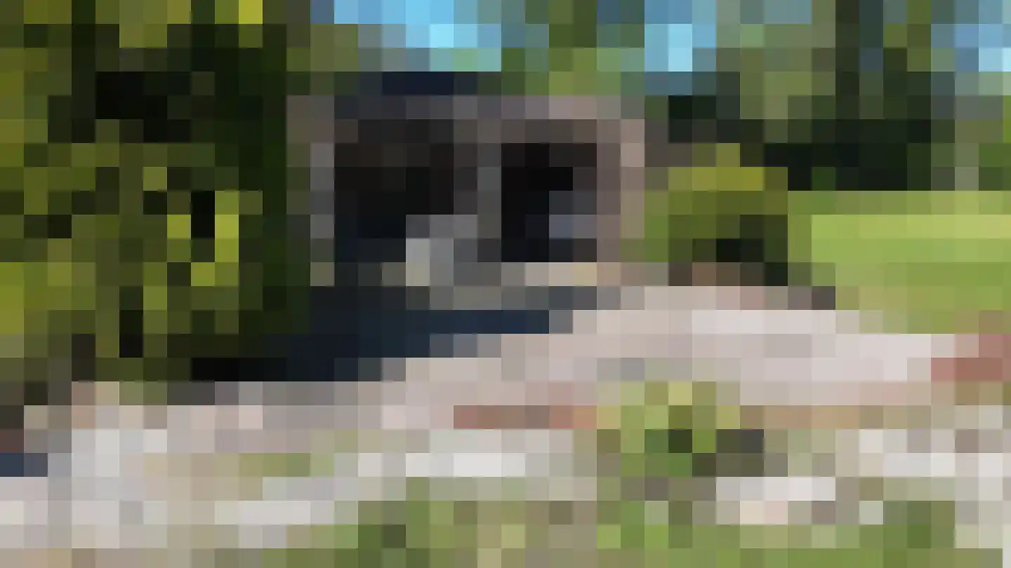 Kallenkote 17 Kallenkote thumbnail 34