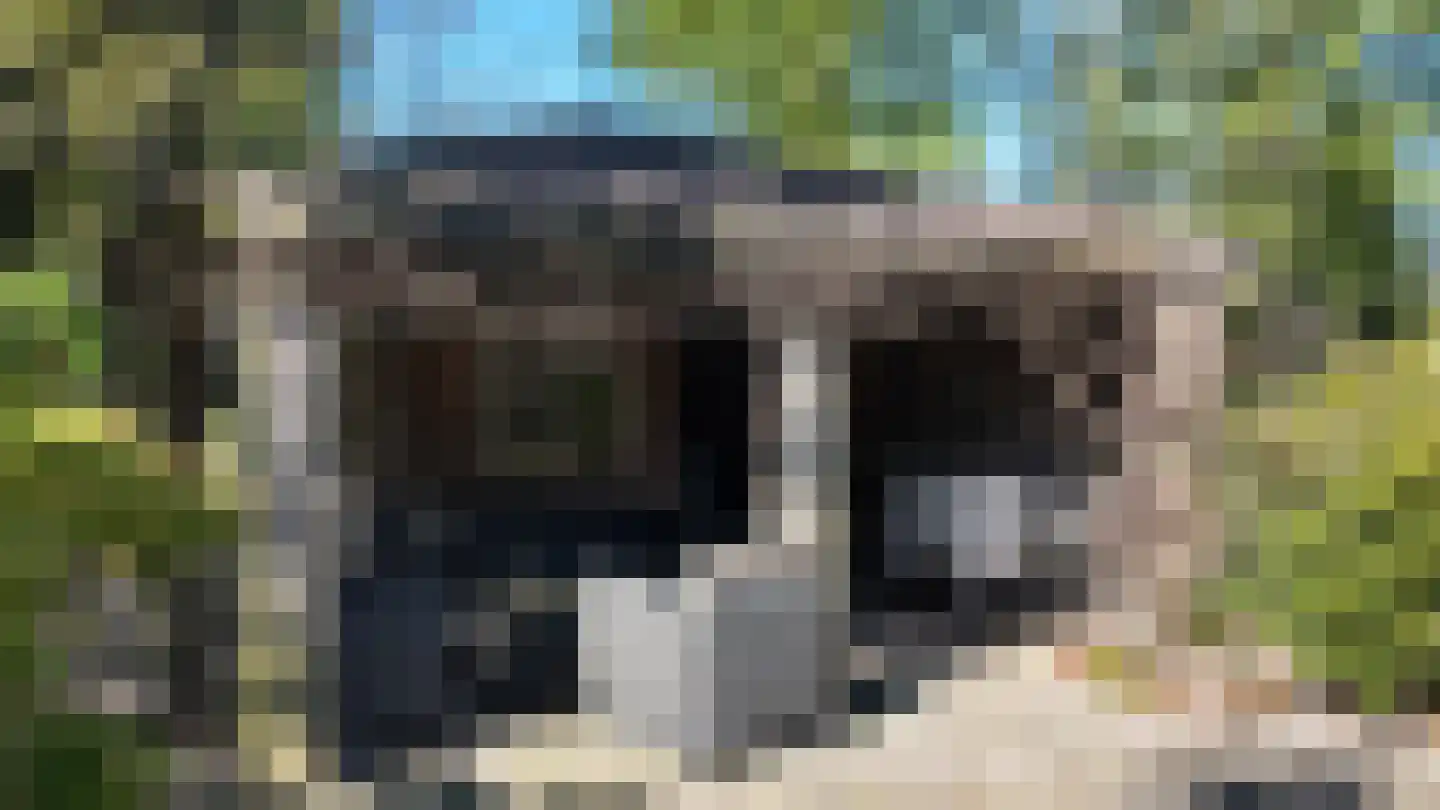 Kallenkote 17 Kallenkote thumbnail 35