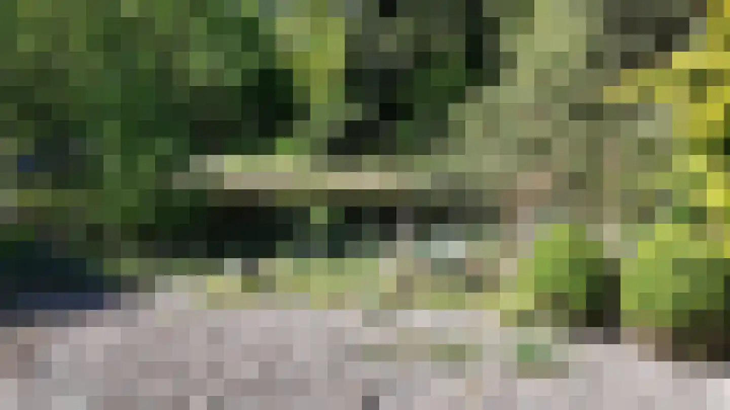 Kallenkote 17 Kallenkote thumbnail 36