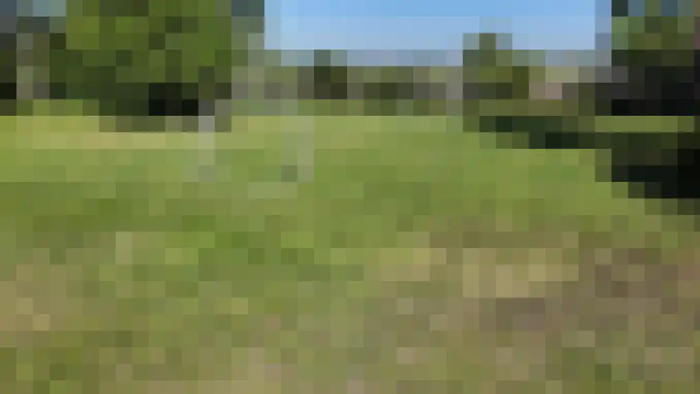 Kallenkote 17 Kallenkote thumbnail 37