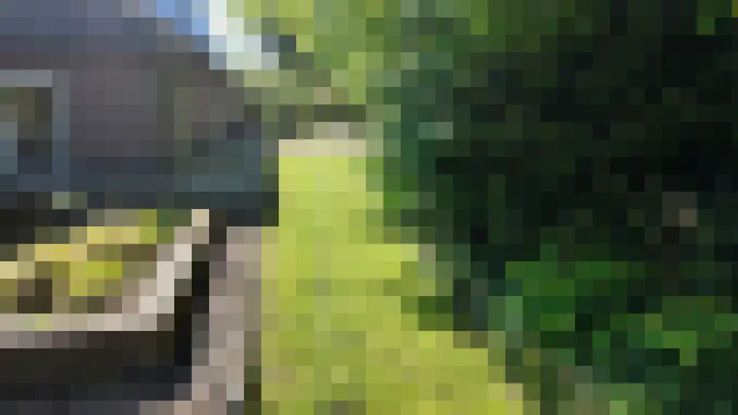 Kallenkote 17 Kallenkote thumbnail 4