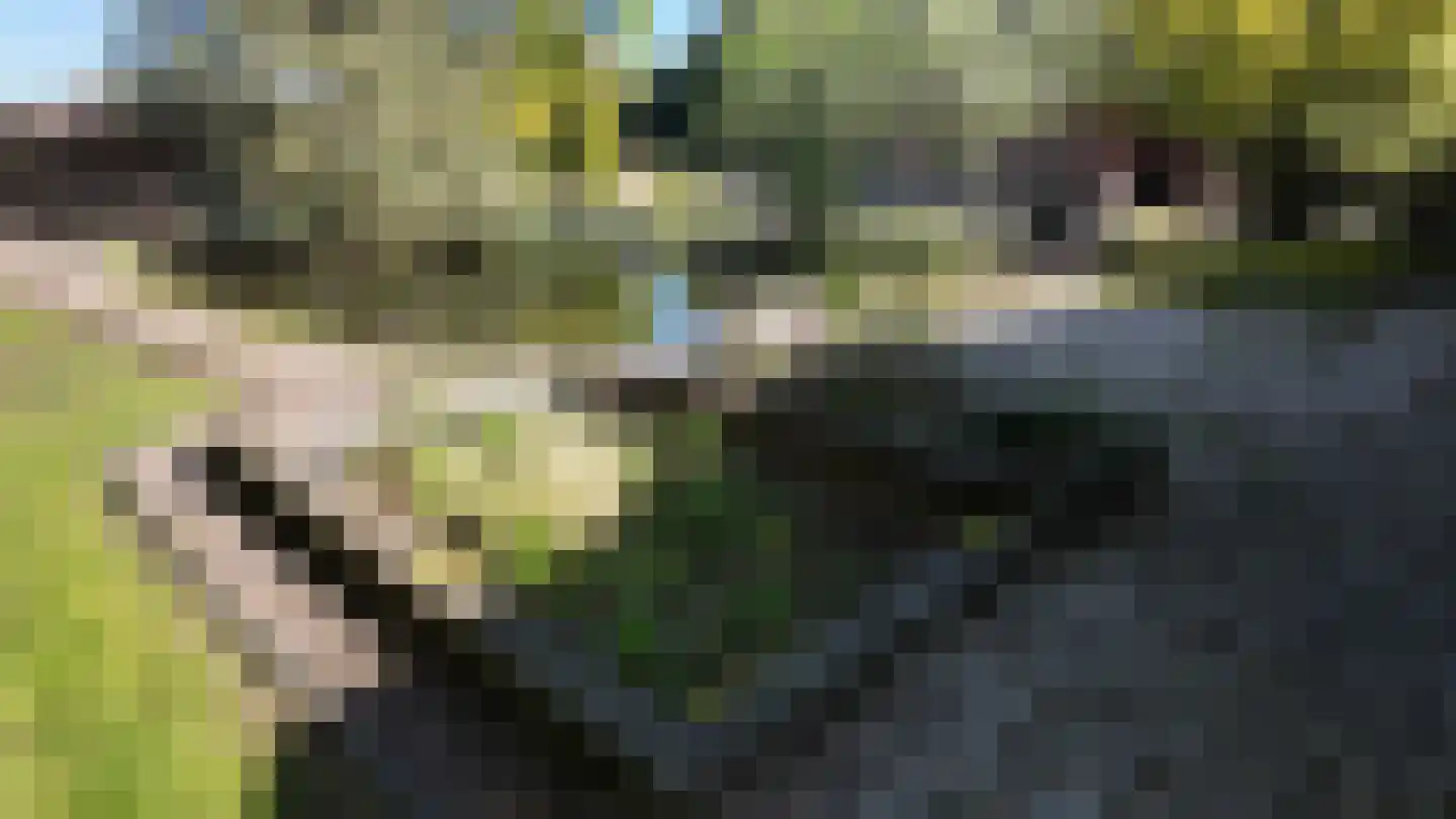 Kallenkote 17 Kallenkote thumbnail 41